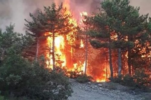 Azərbaycanda meşə yanır – FHN söndürməyə çalışır