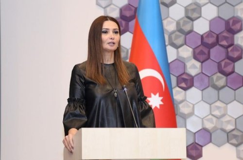 SON DƏQİQƏ! Qənirə Paşayeva sədr seçildi