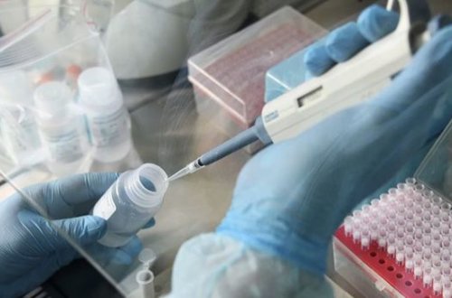 В Боливии зафиксировали первые случаи заболевания коронавирусом