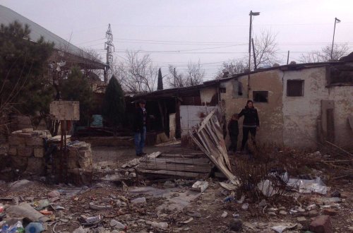 Gəncə sakini: “Gecə uşaqlarımı siçovullar yeyir” -FOTOLAR