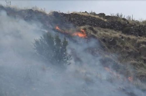 Zaqatalada dağda yanğın başlayıb - YENİLƏNİB