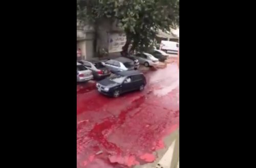 5 000 litrə yaxın qan sözün əsl mənasında su yerinə küçələrə axdı - DƏHŞƏTLİ VİDEO