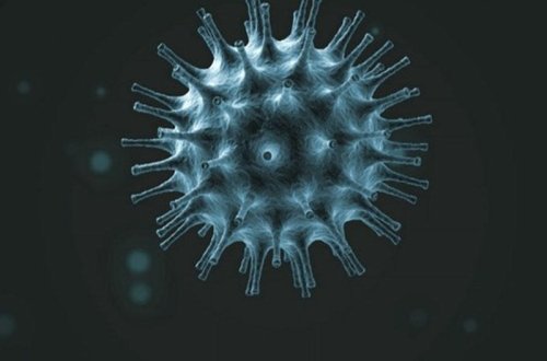 Koronavirusdan qorunmaq üçün sabun ilə qatıq yedi, zəhərləndi - FOTO