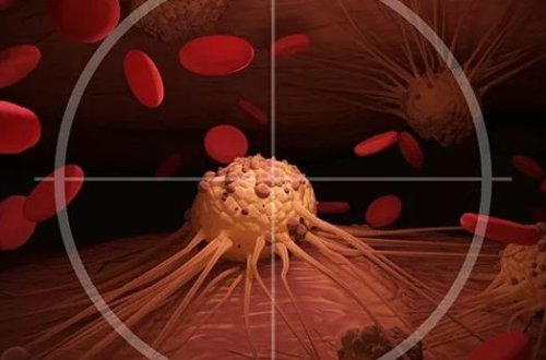 Раковые клетки убили с помощью голода