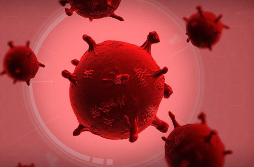 Koronavirusdan sağalan insanların orqanizmində nə vaş verir? - ARAŞDIRMA - FOTO