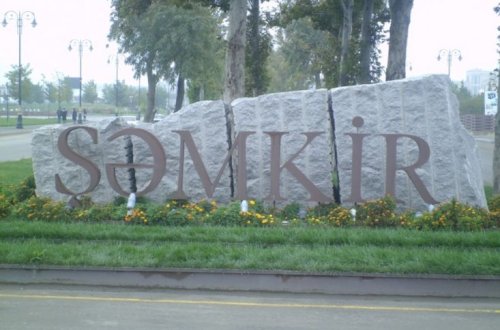 Şəmkirdə yaşıllıq ərazisi parkinqə çevrildi - FOTO