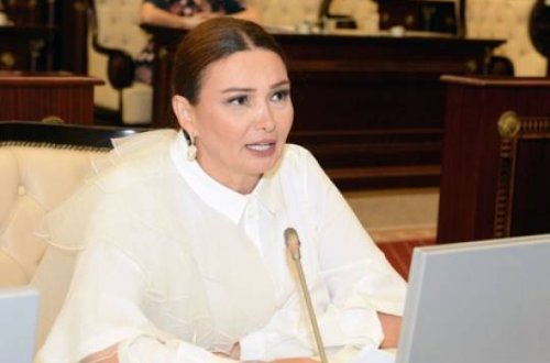 Qənirə Paşayeva vacib təkliflərlə çıxış edib - VİDEO