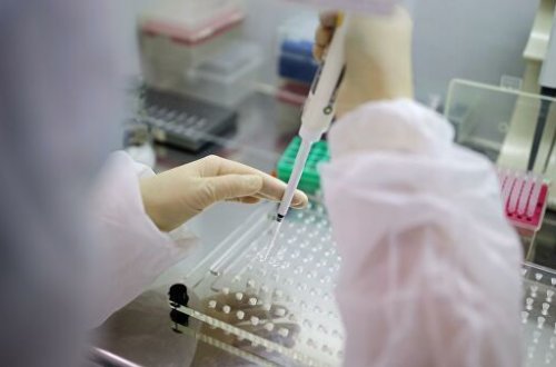 В Азербайджане еще четыре человека вылечились от коронавируса