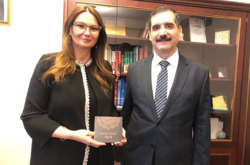 QƏNIRƏ PAŞAYEVA TÜRKIYƏ SƏFIRI ILƏ MÜZAKIRƏLƏR APARDI