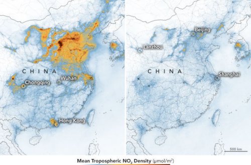 Пандемия коронавируса спасет человеческие жизни