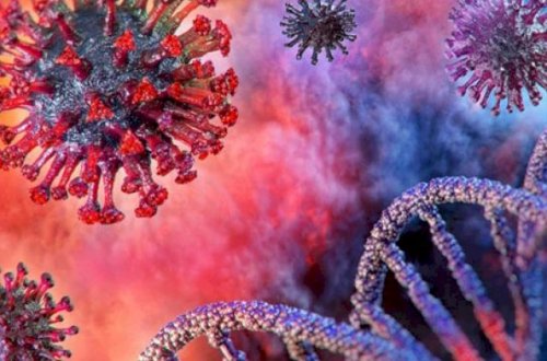 Bu qan qrupu olanlar koronavirusa daha tez yoluxur