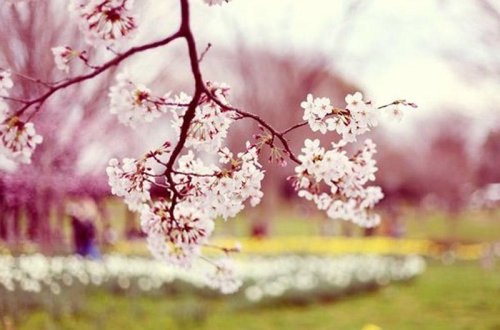 20 dərəcə isti olacaq - HAVA PROQNOZU