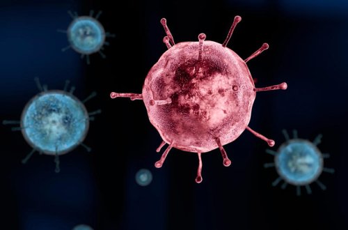 Alimlər: koronavirus təbii təkamül yolu ilə yaranıb