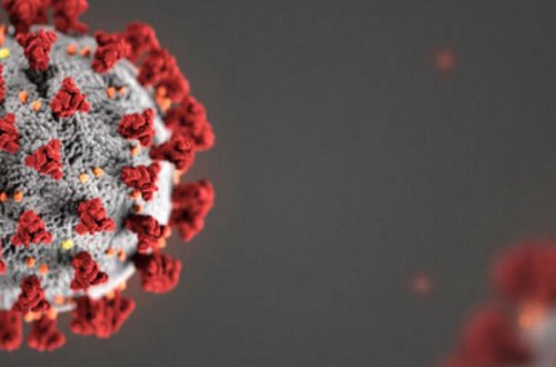 ABŞ Senatında ilk koronavirusa yoluxma qeydə alınıb