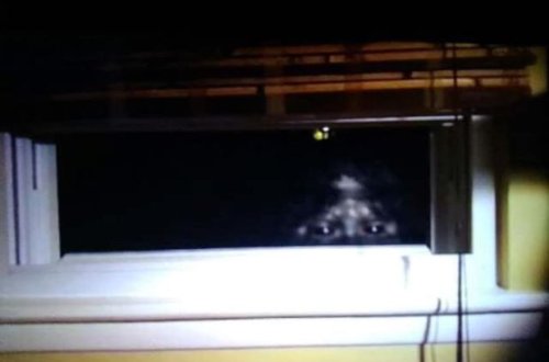 ABŞ-da “qar adamını” yaxın məsafədən lentə aldılar – FOTO