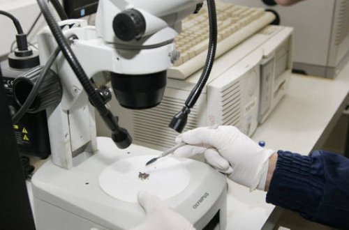 İranda 33 milyon insan koronavirus testindən keçirildi