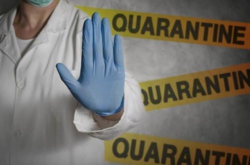 Qorxunc statistika: Koronavirusa görə dünya əhalisinin 20 faizi karantindədir