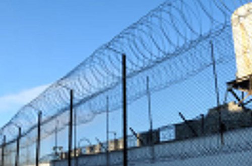 Türkiyədə koronavirusla əlaqədar amnistiya elan oluna bilər