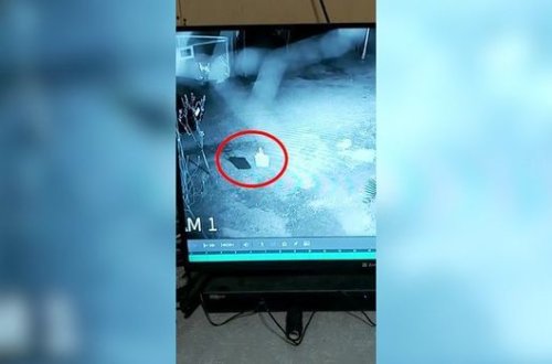 Azərbaycanda qorxunc hadisə: Gözəgörünməz varlıq fermanı bir-birinə qatdı — VİDEO