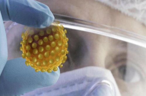 Koronavirusun DƏHŞƏTLİ STATİSTİKASI — SON DƏQİQƏ