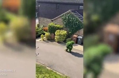 Karantindən yayınmaq üçün özünü kola bənzətdi – VİDEO