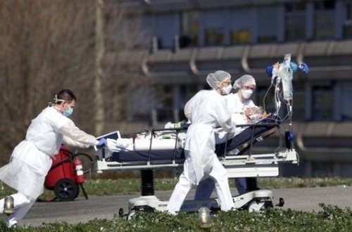 Nyu-Yorkda morqların tutumu dörd dəfə artırıldı