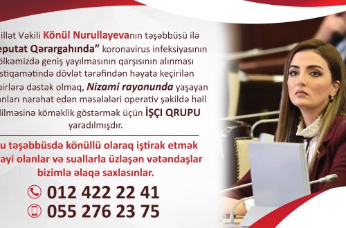 Deputat koronovirusla bağlı işçi qrupu formalaşdırdı - FOTOLAR
