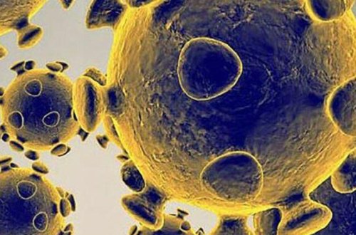 Koronavirusu sürətlə yayan vasitə BƏLLİ OLDU