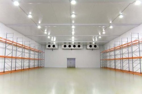 Parisin bazarlarından birini morqa çevirəcəklər