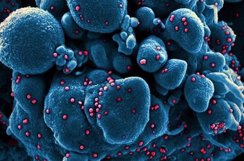 Koronavirusun mutasiyası ona qarşı vaksinin yaradılmasına mane ola bilər