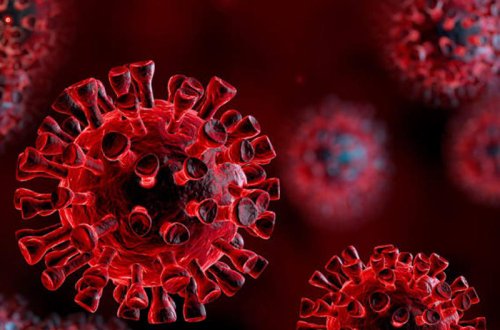 Azərbaycanda koronavirus xəstələrinin adı niyə açıqlanmır sualına RƏSMİ CAVAB