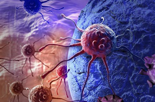 Найдено природное лекарство от рака