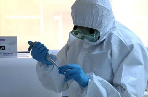 Elm adamları şokda: Koronavirus hüceyrədə gizlənir