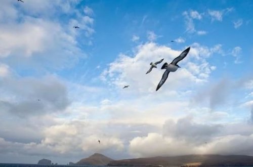 Завтра в Азербайджане местами ожидается туман