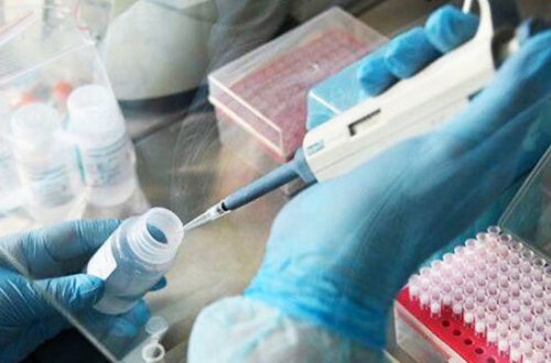 Число инфицированных COVID-19 в Беларуси выросло до 1 486