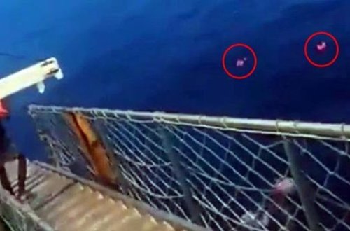 Katerdə koronaviruslu xəstənin olduğunu eşidənlər özlərini dənizə atdılar - VİDEO