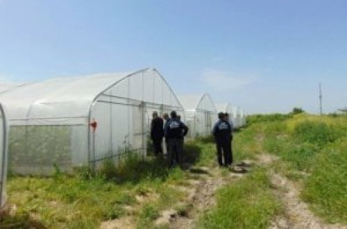 Şəmkirdə yüz minlərlə manat qaz pulu borcunu ödəmək istəməyən sahibkar koronavirusa 