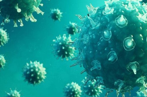 Koronavirusu blok edən yeni virus yaradıldı - Peyvəndin tapılması an məsələsidir