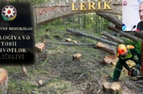 Lerikdə yaşıllığın məhv edilməsini əks etdirən VİDEO