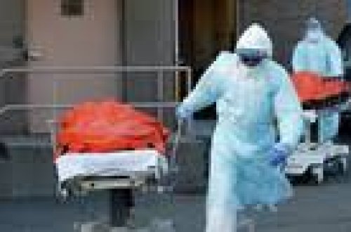 В США побит рекорд смертности от коронавируса