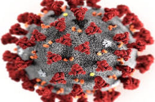 Koronavirusun qarşısını ala biləcək preparat müəyyənləşdi - FOTO