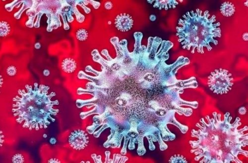 Koronavirus ayaqqabı ilə evə necə daxil olur? - VİDEO