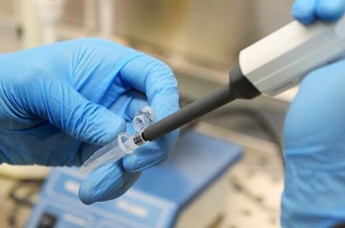 COVID-19 peyvəndinin sınağı üçün “ideal” heyvanın adı açıqlandı