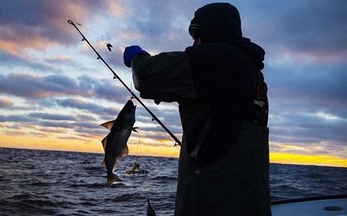 Azərbaycanda balıq ovu QADAĞAN EDİLDİ