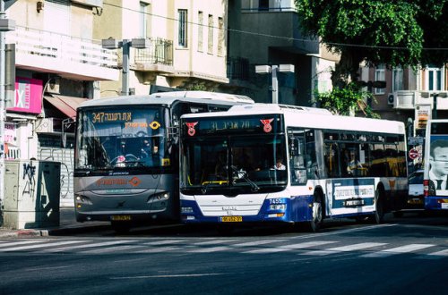 В Израиле полностью прекратят деятельность общественного транспорта