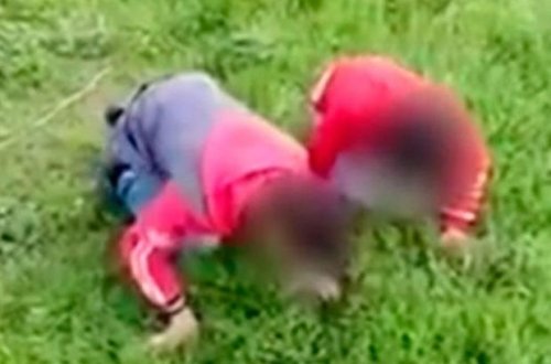 Uşaqları “otlamağa məcbur edib” videoya çəkən şəxs cərimə olundu