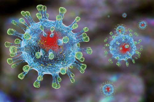 У коронавируса обнаружили “слабое место”