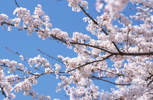 Sabah 24 dərəcə isti olacaq