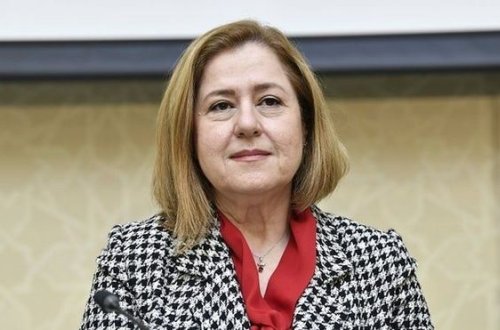 Koronavirusla mübarizə üçün ölkəyə gələn həkimlər nə vaxtadək çalışacaqlar? - RƏSMİ