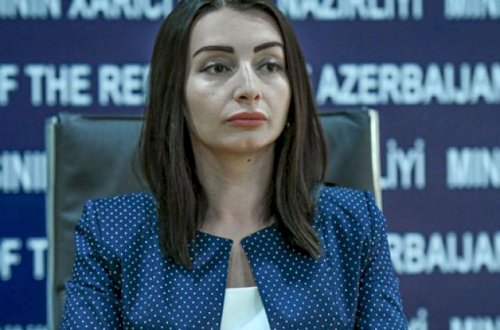 “Altmışa yaxın ölkədə yaşayan azərbaycanlılar geri qayıtmaq istəyirlər” – XİN sözçüsü